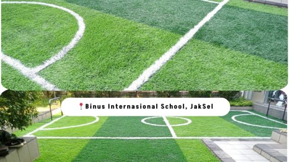 Paket Mini Soccer Pro Diamond