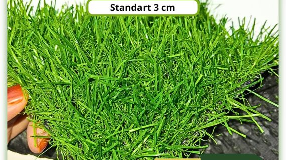 Swiss Standard 3 cm